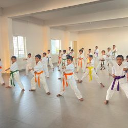 karate